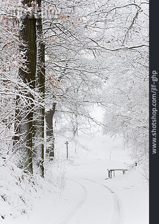 
                Winter, Neuschnee, Winterwald                   