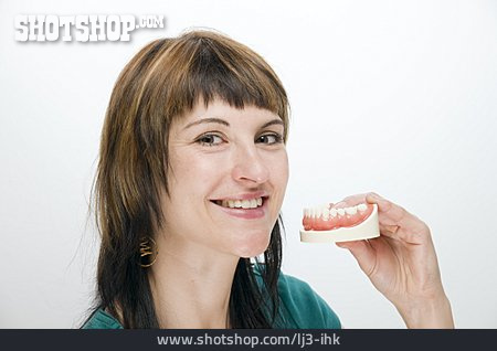 
                Gebiss, Zahnmodell, Zahngesundheit                   
