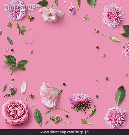 
                Textfreiraum, Rosa, Blumenrahmen                   