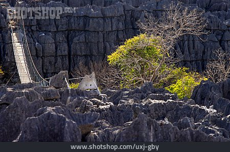 
                Kalkstein, Karstlandschaft, Nationalpark Tsingy De Bemaraha                   