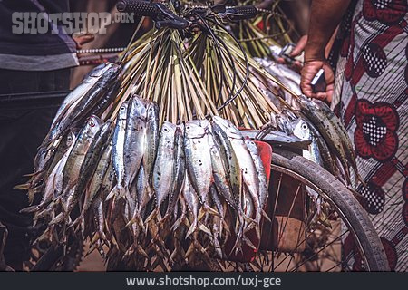 
                Fisch, Fischmarkt, Fischhändler                   