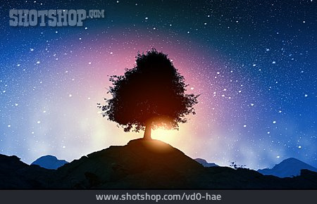 
                Landschaft, Baum, Symbol, Sternenhimmel                   
