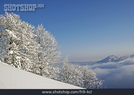
                Winter, Winterlandschaft, Bayrische Alpen                   