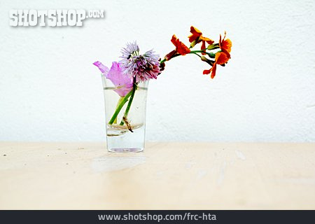 
                Blumen, Blumenvase                   