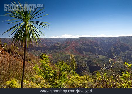 
                Landschaft, Hawaii, Waimea Canyon                   