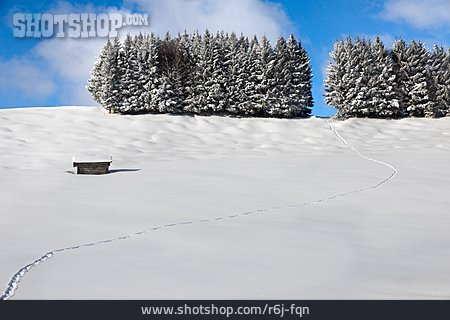 
                Winterlandschaft, Bayern                   