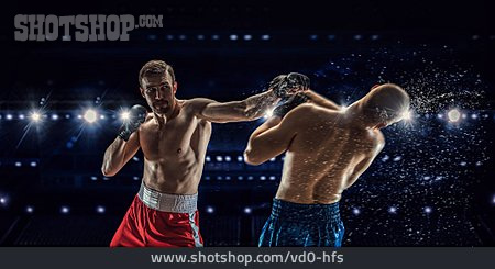 
                Boxen, Boxer, Knockout                   