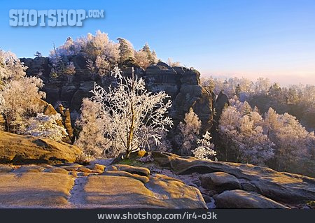 
                Winter, Raureif, Sächsische Schweiz                   