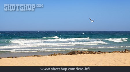 
                Strand, Ozean, Fuerteventura                   
