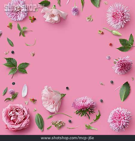 
                Textfreiraum, Blüten, Blumenrahmen                   
