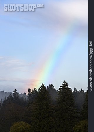 
                Regenbogen, Naturphänomen                   