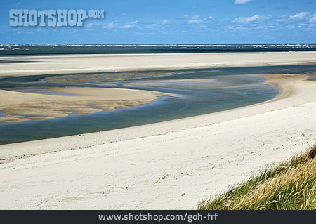 
                Nordseeküste, Langeoog, Sandbank                   