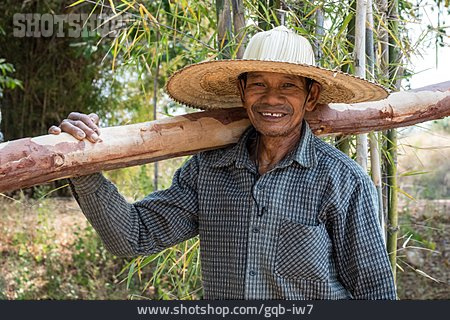 
                Farmer, Bamboo, Thailand                   