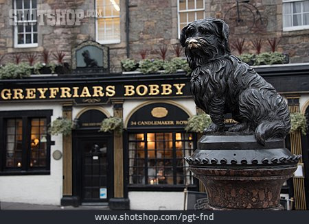 
                Greyfriars Bobby, Skye Terrier                   