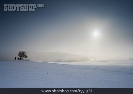 
                Winterlandschaft, Nebel                   
