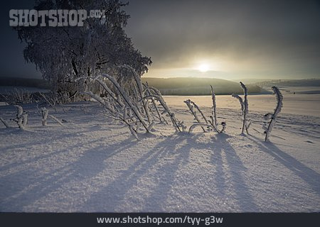 
                Sonnenaufgang, Winterlandschaft, Schneedecke                   