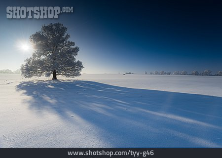 
                Schneelandschaft, Schneedecke                   