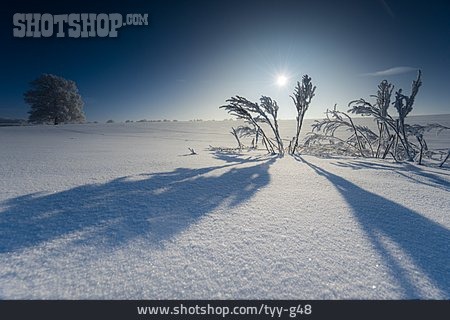 
                Schatten, Schneedecke, Wintersonne                   