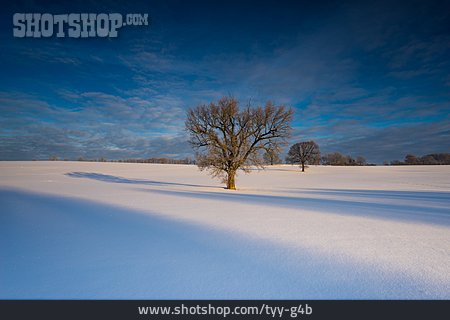 
                Landschaft, Verschneit, Wintertag                   