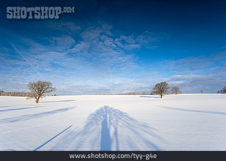 
                Winter, Winterlandschaft, Baumschatten, Schneedecke                   