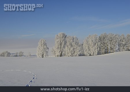 
                Winterlandschaft, Schneedecke                   