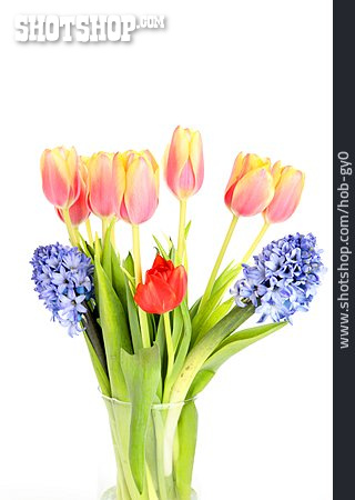
                Blumenstrauß, Tulpen, Hyazinthen                   