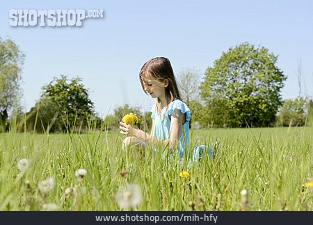 
                Mädchen, Sommer, Blumenwiese, Pflücken                   