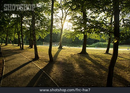 
                Wald, Park, Stadtpark, Jungfernheide                   