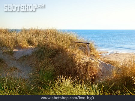 
                Strand, Dänemark, Dünengras                   