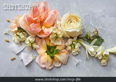 
                Blüten, Rosenblüten, Floristik, Blumendekoration                   