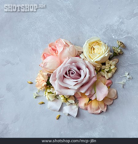 
                Blüten, Rosenblüten, Floristik                   
