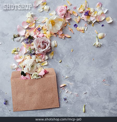 
                Blüten, Liebesbrief, Einladung                   