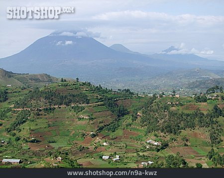 
                Virunga, Virunga-nationalpark                   