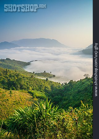 
                Wolkendecke, Nebelmeer, Laos                   