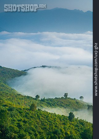 
                Urwald, Wolkendecke, Nebelmeer, Laos                   
