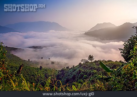 
                Sunrise, Jungle, Clouds, Laos                   