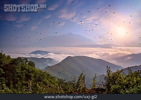 
                Gebirge, Blaue Stunde, Vogelschwarm, Laos                   