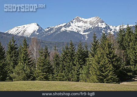 
                Alpen, Estergebirge, Krottenkopf                   