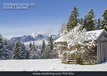 
                Winter, Hütte, Schuppen                   