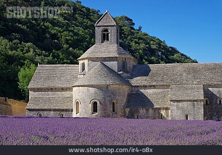 
                Kloster, Provence, Lavendelfeld, Senanque                   