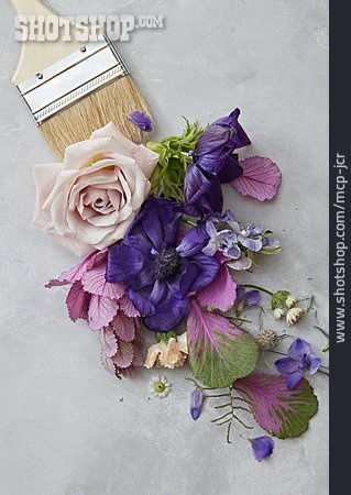 
                Violett, Renovieren, Floral                   