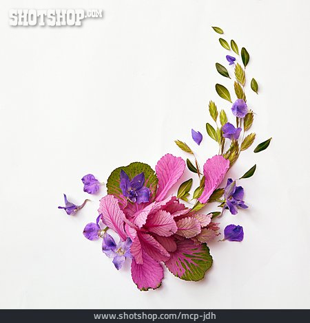 
                Floral, Floristik, Blumenarrangement                   