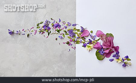 
                Blüten, Floristik, Blumenarrangement                   