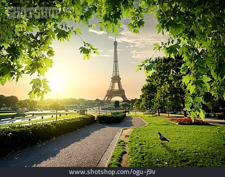 
                Parkanlage, Paris, Eiffelturm                   