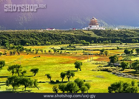 
                China, Tibet, Lhasa                   