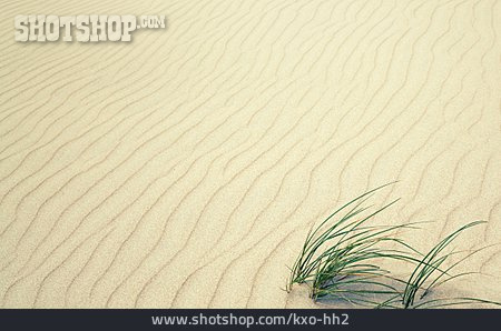 
                Strand, Sand, Rippelmarke                   
