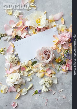 
                Copy Space, Romantic, Love Letter, Floral                   