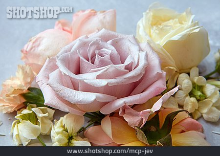 
                Rosenblüten, Blumenbouquet, Pastelltöne                   