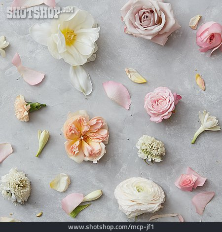 
                Blumen, Romantisch, Pastelltöne                   