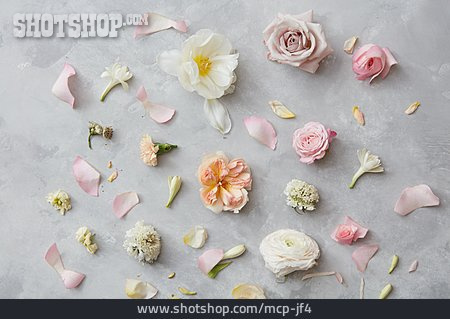
                Blüten, Romantisch, Blumendekoration                   